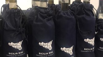 Scuola Concorsi Ais Sicilia Il Consorzio di tutela Vini Doc Sicilia rinnova la partnership con l’AIS Sicilia